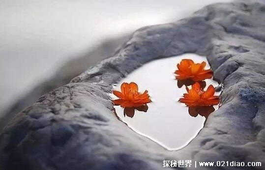 Ů˿һеͼƬ;ӣඥͻľ¼