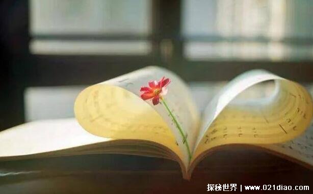 Ů˿һеͼƬ;ӣඥͻľ¼