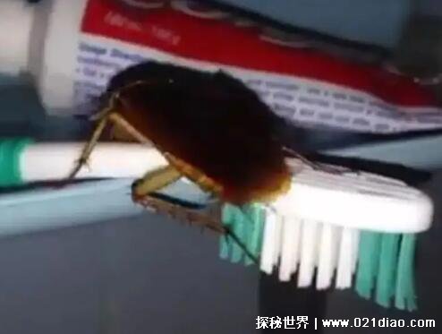 һû룬(ľɱ)