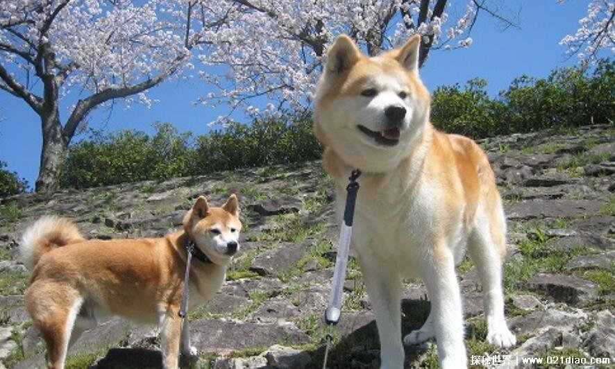 йʮȮȮͱֹڹϳ(ͼƬ)