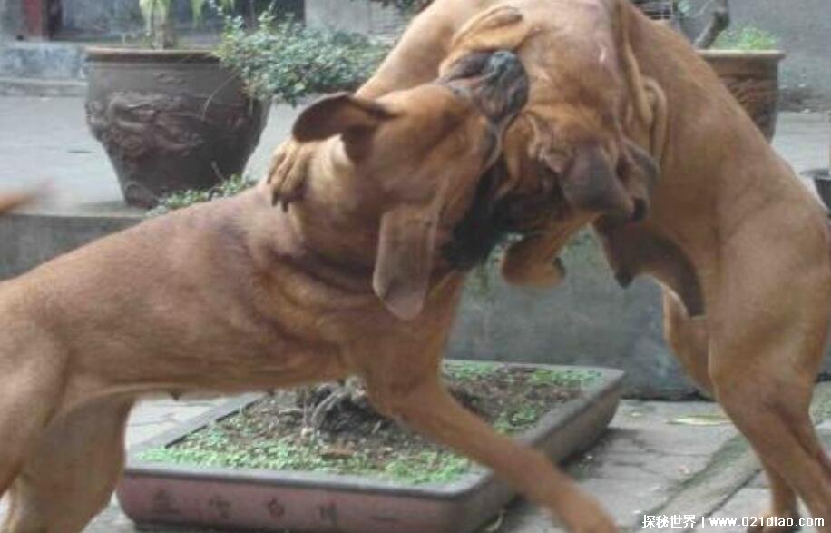 йʮȮȮͱֹڹϳ(ͼƬ)