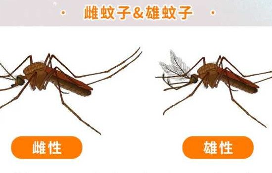 ӵж೤ʱ䣬һֻ3(಻10)