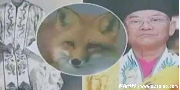 ʮ¼ȿֲƬ˵Ĺ참