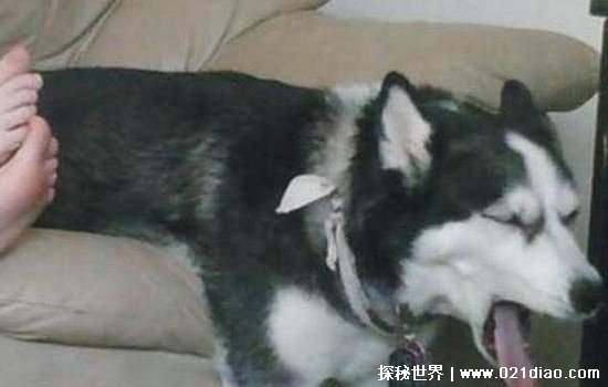 yueʲô˼˵˼(Ϸ)
