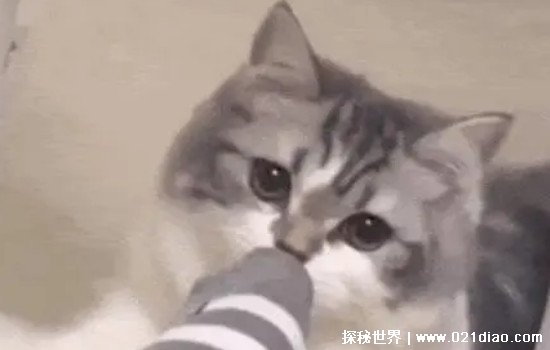yueʲô˼˵˼(Ϸ)