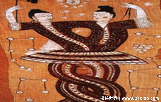 Ů洷ͼÿֲŴṹʮ(ԤDNA)