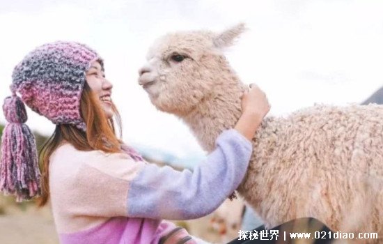 ¿ˮ˵ʲôԭ(󲿷ҷ)