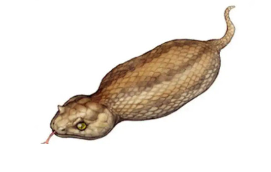 Ұʵôûзֻ(Ŀ)