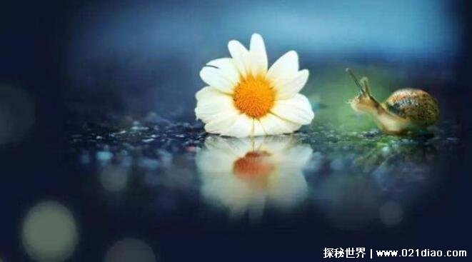 ˼һ˵µľӣл