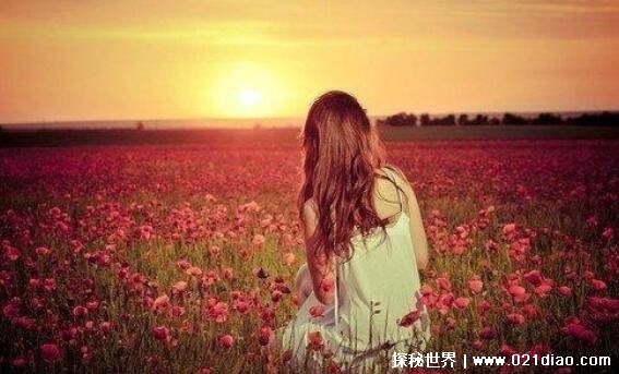 ˼һ˵µľӣл