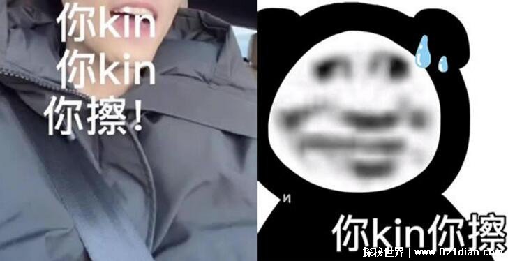 kinʲô˼ʲôôǻظkin