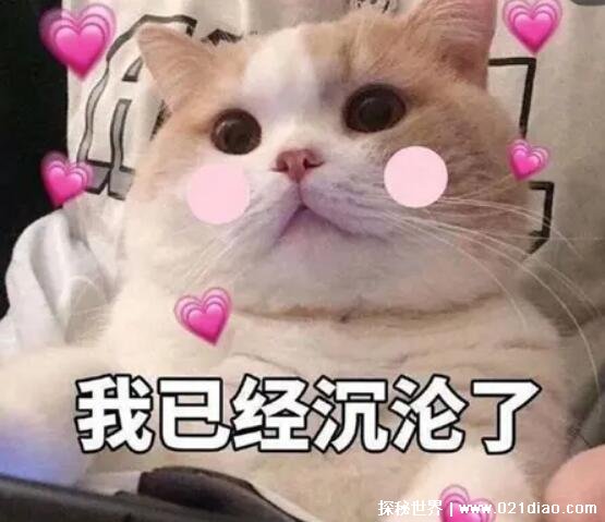 rpsڷȦʲô˼ʵżļ(ǲŮcp)