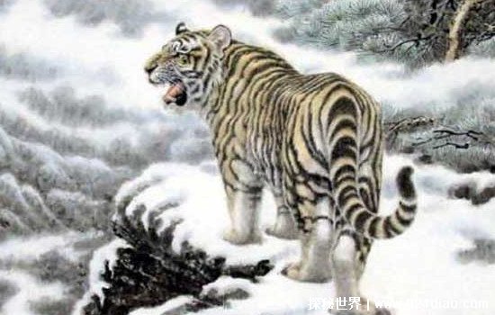 ĺʲô䡢ˣ䣬ߺҪԶ