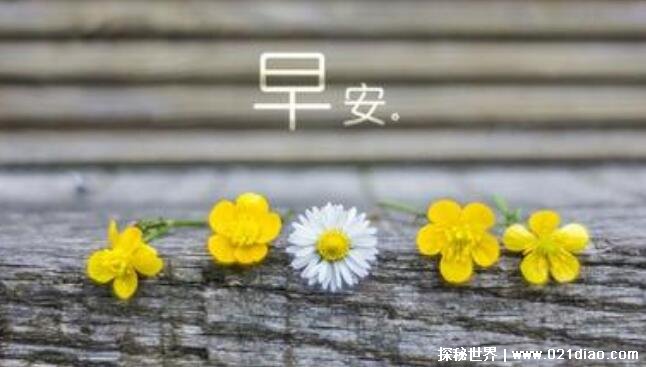 簲̾䣬Ĭ־Ϻİ(ʺϷ)
