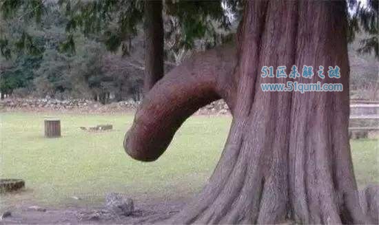 йʮȻ ˽λ˿