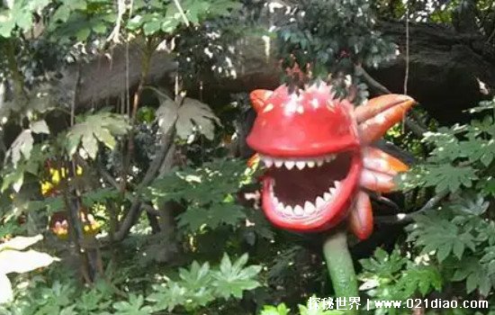 ûѪѪ(鹹ֲ)