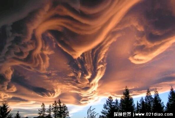 ƣɫɵUFO(ᦶƶ)