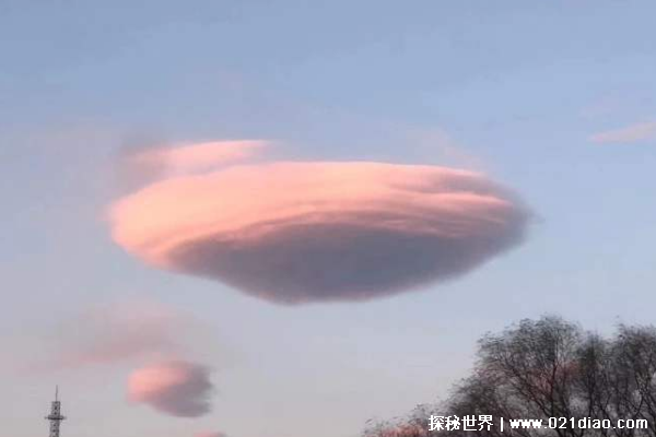 ƣɫɵUFO(ᦶƶ)