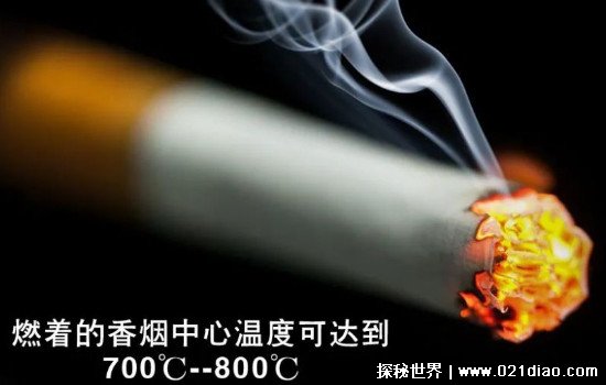ͷ¶ȿɴٶȣ700浽800(ȿȼȼ)