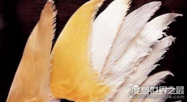 йĴζ///(Ǯ˵ʳ)