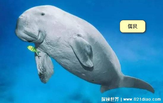 ĴĿõ(ʵƬƵ)