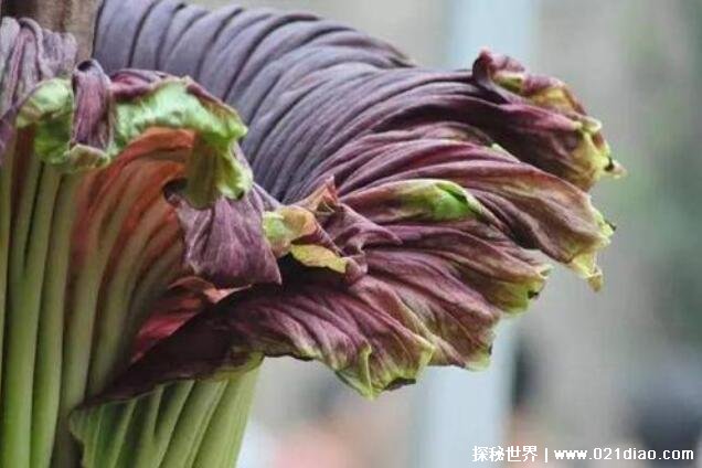 ʬħĴʵ(7ſһλ)