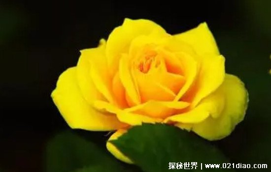õʲô˼ʲô(ʺ)
