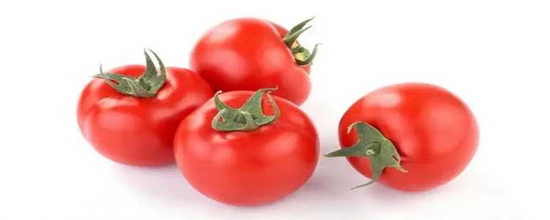 ôʱ䳤һ