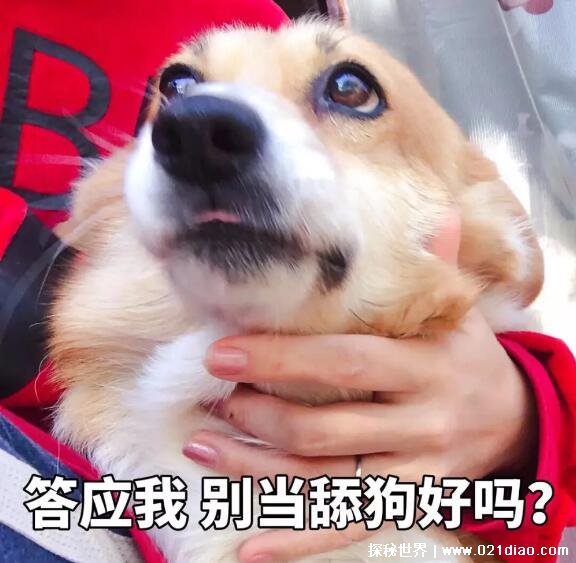 ʲô˼أϺ͵ߵȥֺ(ռ̥)