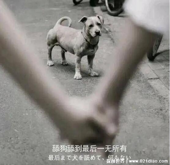 ʲô˼أϺ͵ߵȥֺ(ռ̥)