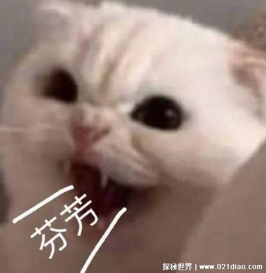 ߼ĺ˵Ļʮ˲ֵĻ