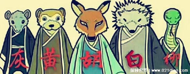 ʲôư(ǲ̫ʵ)