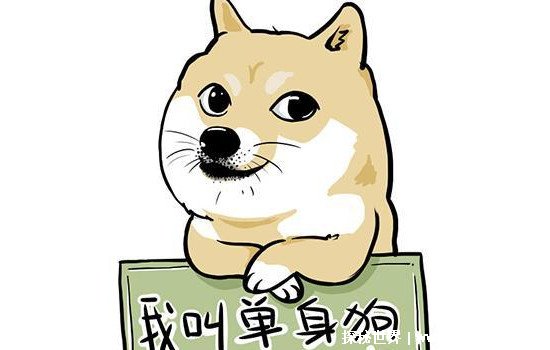 ĸ̥solo˼ʲôӳһֱֵ(û̸)