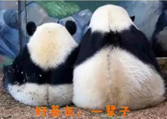 ûʲô˼ϵǳܵͬ