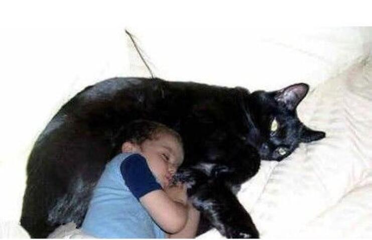 ڿèangieһƭ(PSۼ)