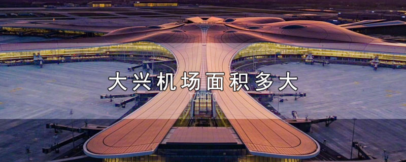 ˻