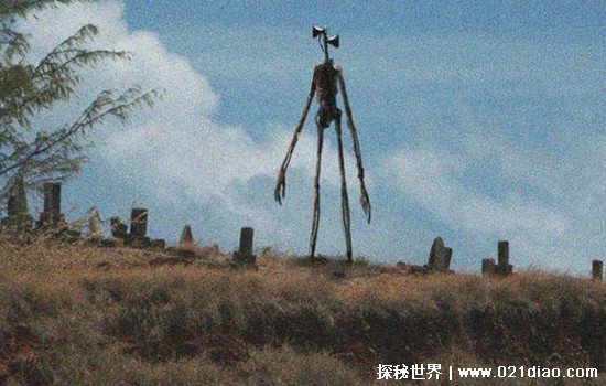 оͷ鹹Ĳ(ΪϷ֪)