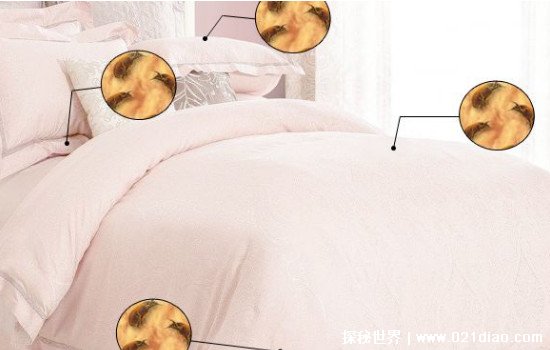 ôжϴ棬ɹζõİ취(ͼƬ)