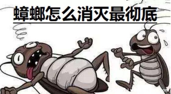 ôСУĴ󳹵ļ򵥷