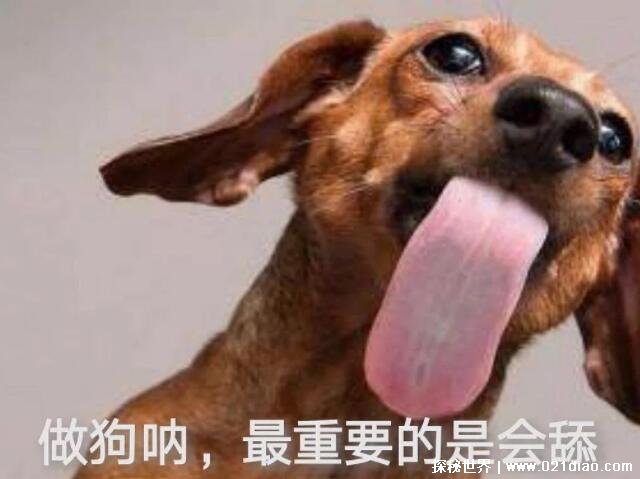 getʲô˼ʾ㶮ĳ(get¼)