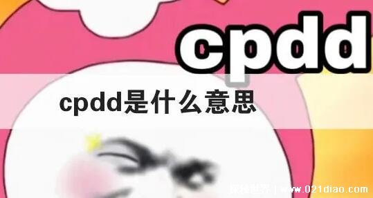 Ů˵cpddʲô˼(»)