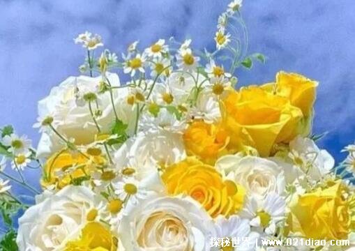 ȦɹΨӣµĶ̾ӱ(Ϣ)