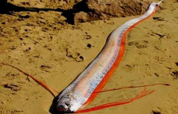 ʴĿֲ˵ܷݻһ(Ϊ)