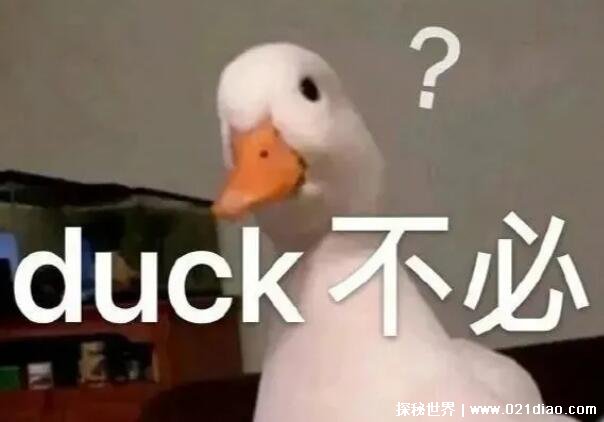 ˵ллʲôжĹ(ʽܵų)