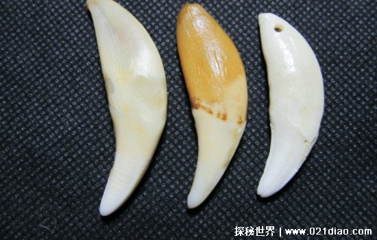 GʲôˮʦΪ(а)