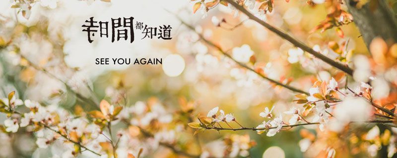 时间都知道小说