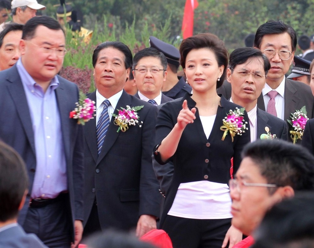 杨澜的前夫张一兵:他们的婚姻为何结束?