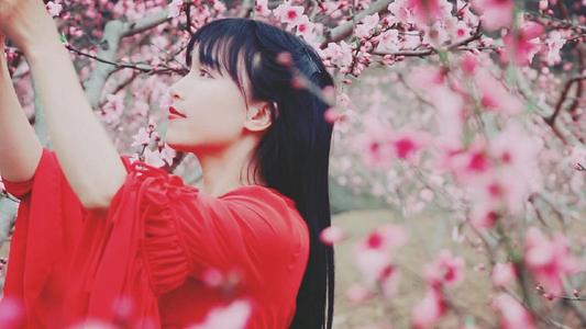 李子柒的人生历程与商业成功揭秘:从家境到事业的转变