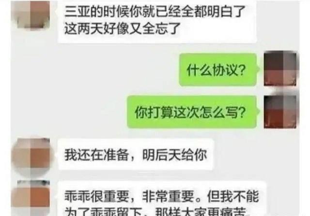 蒋凡被除名合伙人与其妻、张大奕关系解析