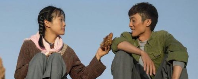 山海情中得宝和麦苗的结局解析